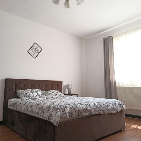 Dove Apartment Sibiu Bagian luar foto