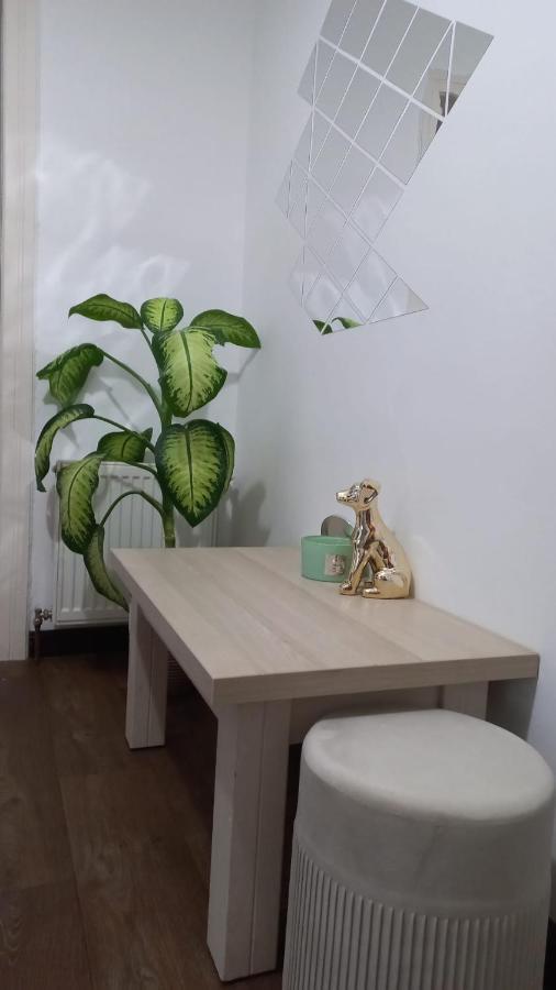 Dove Apartment Sibiu Bagian luar foto